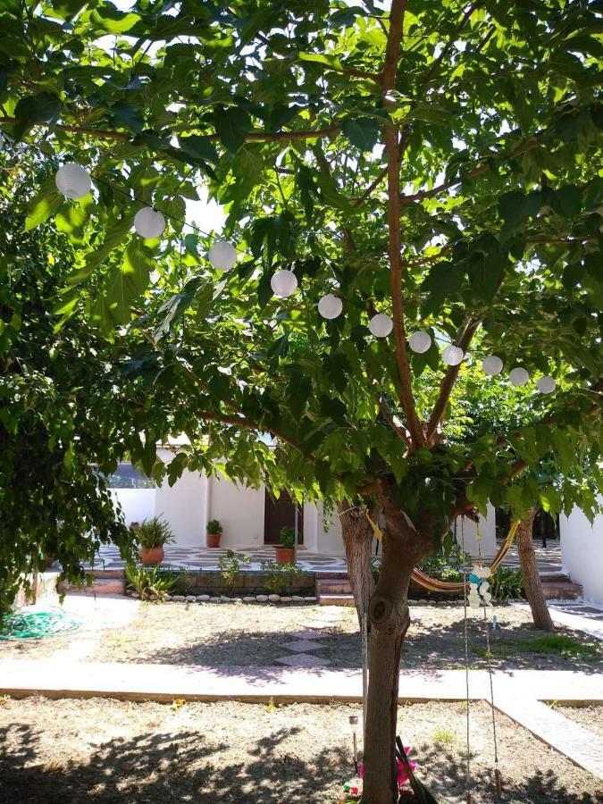 Annamaria House * Λαγανάς